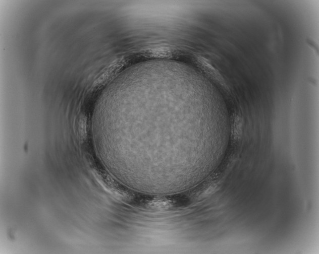 X0000100860213200807070942