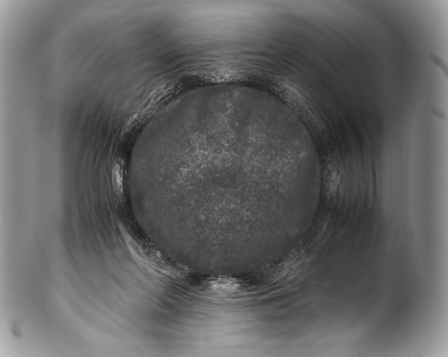 X0000100860214200807070942