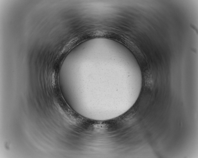 X0000100860216200807070942