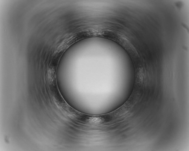 X0000100860218200807070942