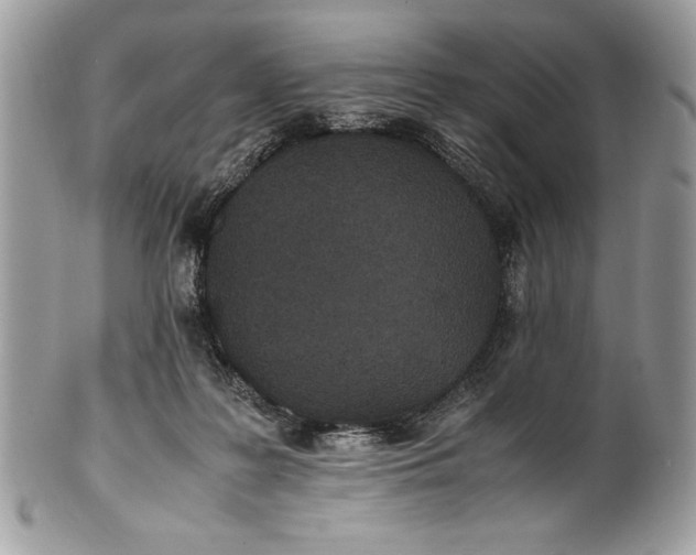 X0000100860219200807070942