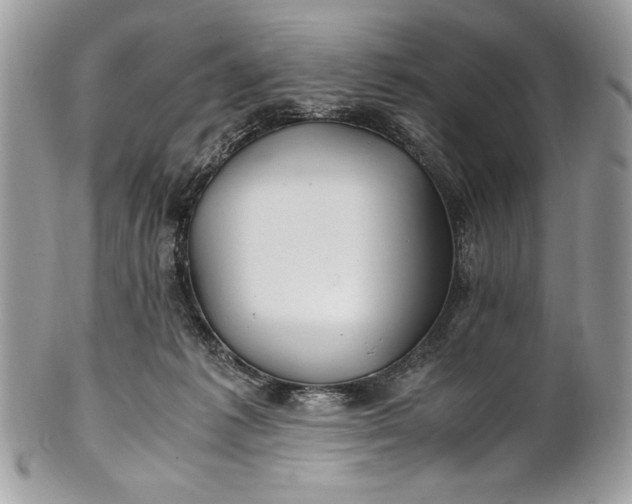 X0000100860221200807070942