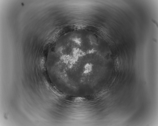 X0000100860222200807070942