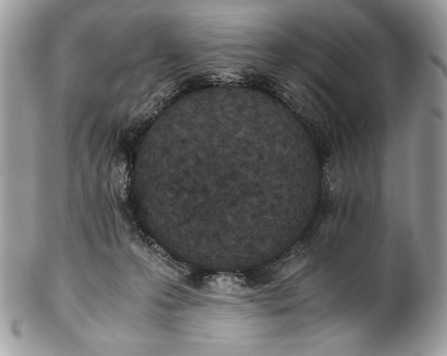 X0000100860223200807070942