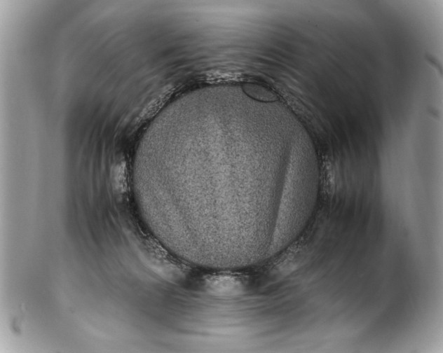 X0000100860224200807070942