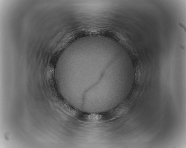 X0000100860225200807070941