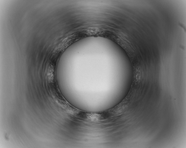 X0000100860226200807070941