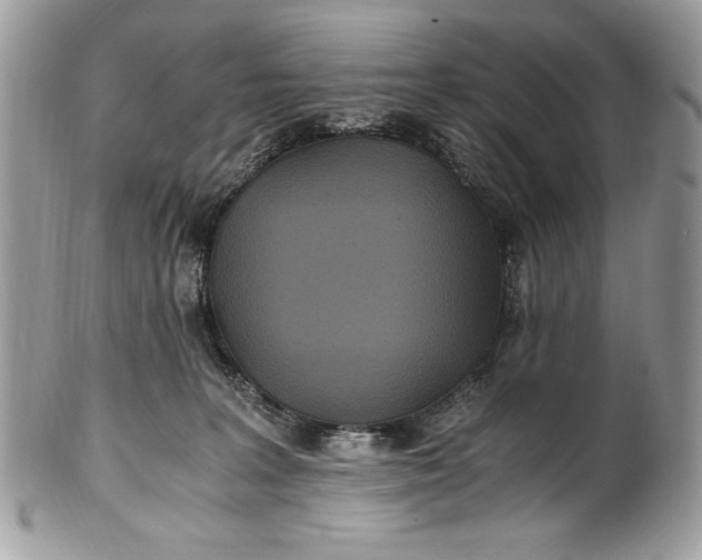 X0000100860227200807070941