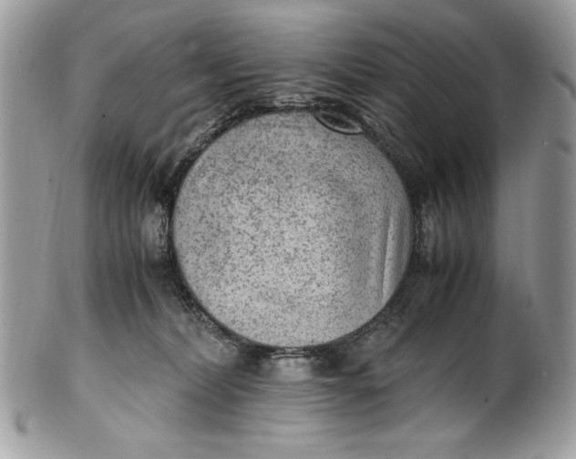 X0000100860228200807070941