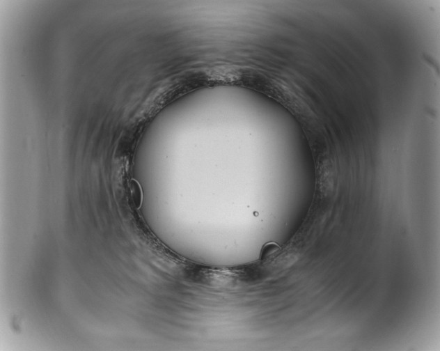 X0000100860229200807070941