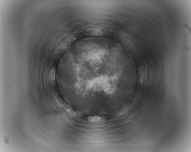 X0000100860230200807070941