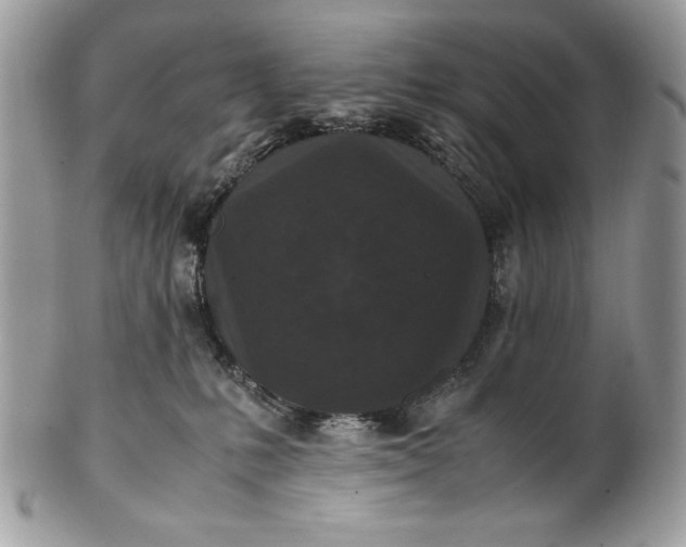 X0000100860231200807070941