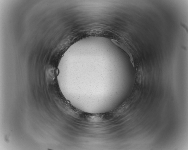 X0000100860232200807070941