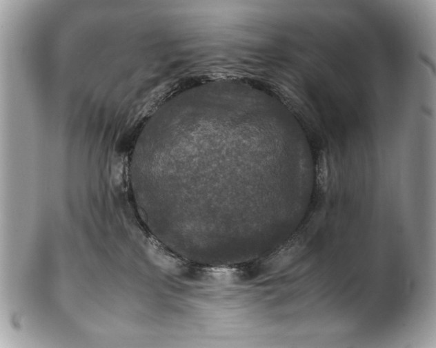 X0000100860233200807070941