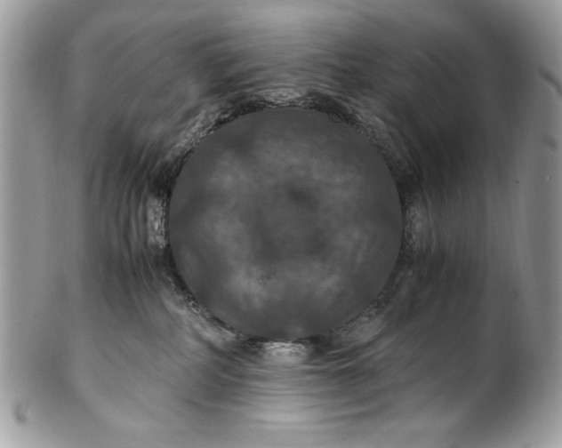 X0000100860234200807070941