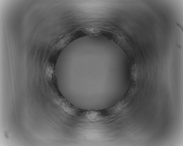 X0000100860235200807070941