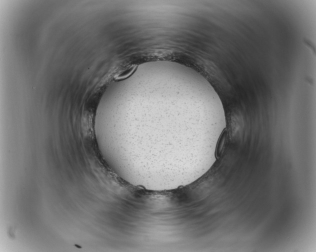 X0000100860236200807070941