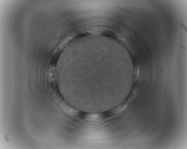 X0000100860237200807070941