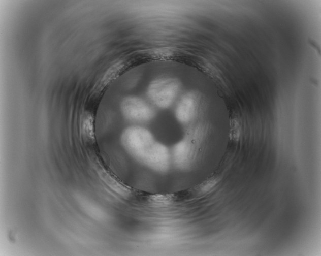 X0000100860238200807070941