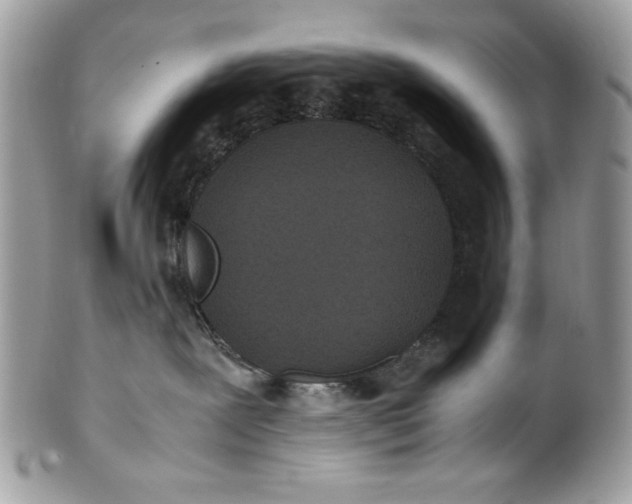 X0000100860239200807070941