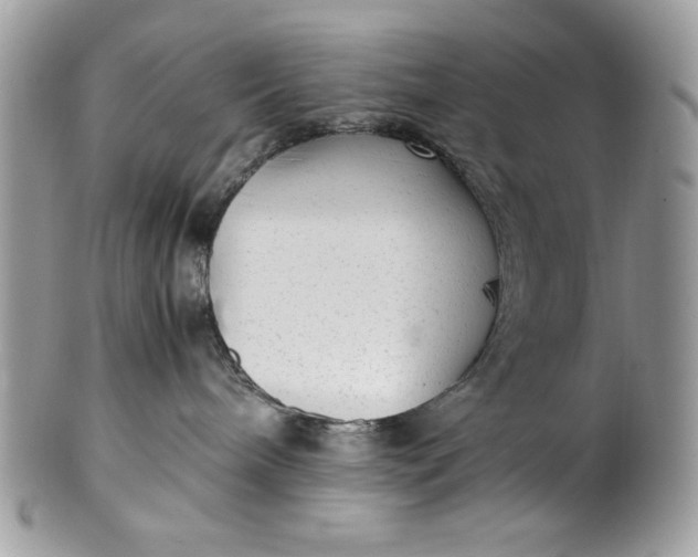 X0000100860240200807070941