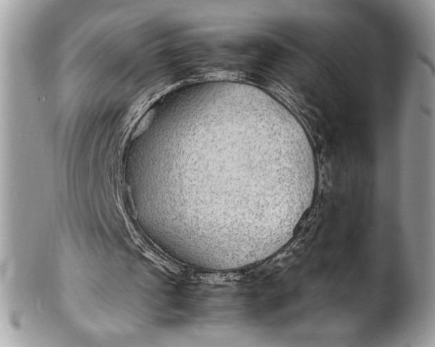 X0000100860241200807070940