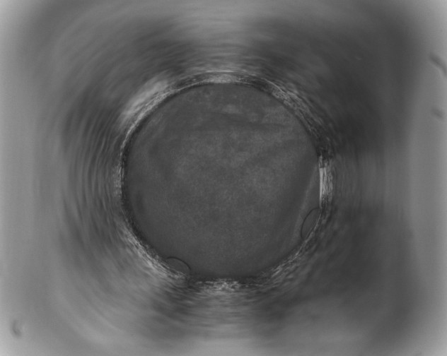 X0000100860243200807070940