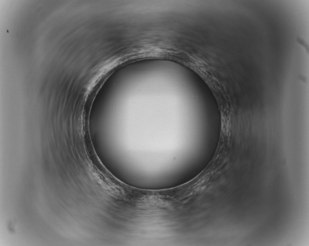 X0000100860244200807070940