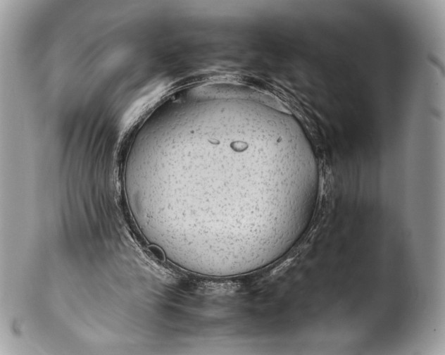 X0000100860245200807070940