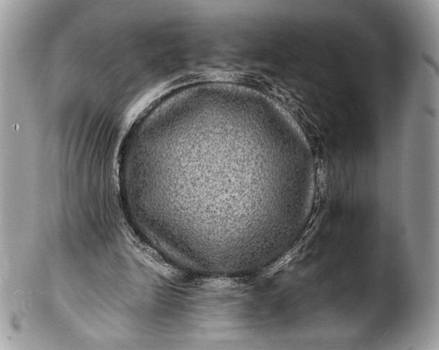 X0000100860246200807070940