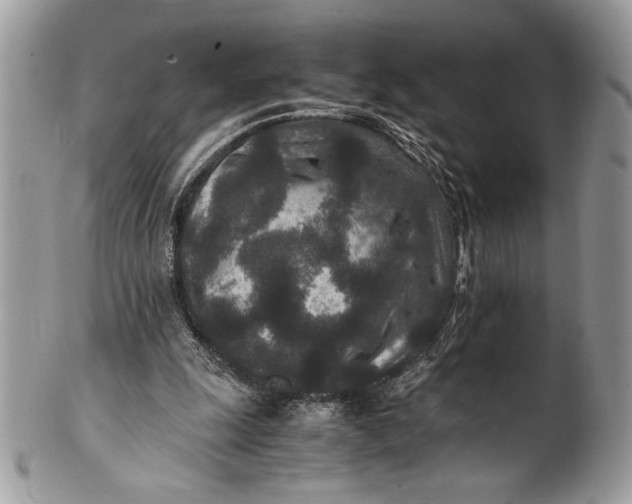 X0000100860247200807070940