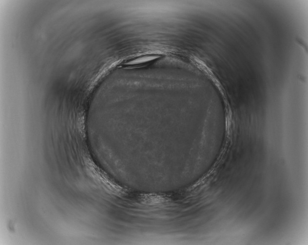 X0000100860249200807070940