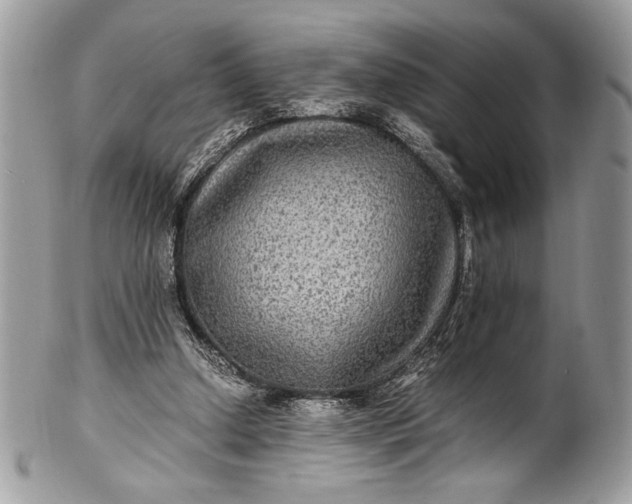 X0000100860250200807070940