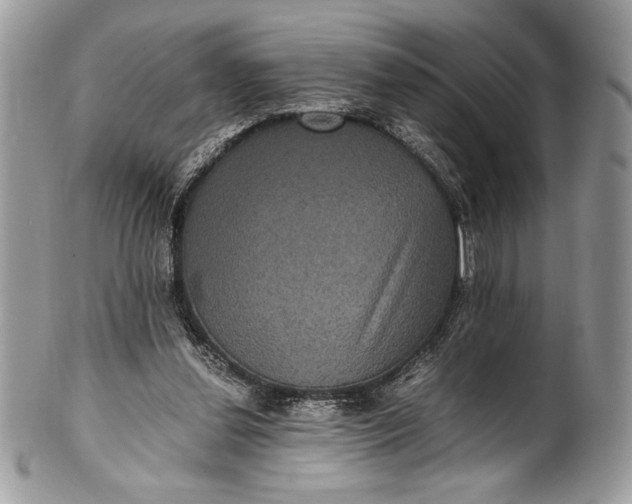 X0000100860252200807070940