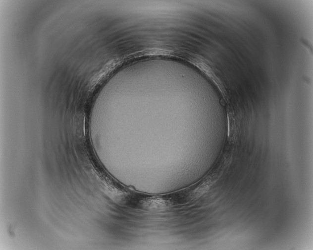 X0000100860253200807070940