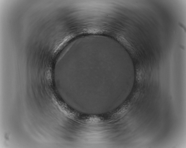 X0000100860256200807070940