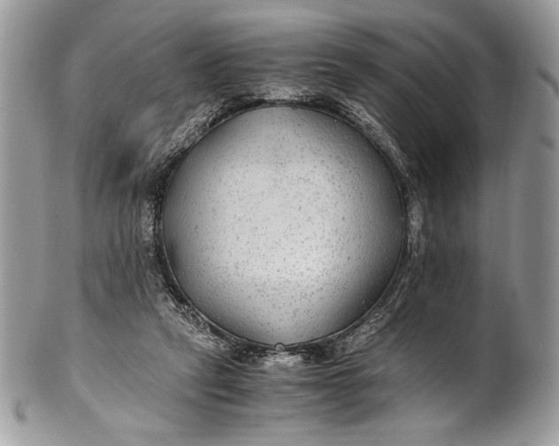 X0000100860257200807070940