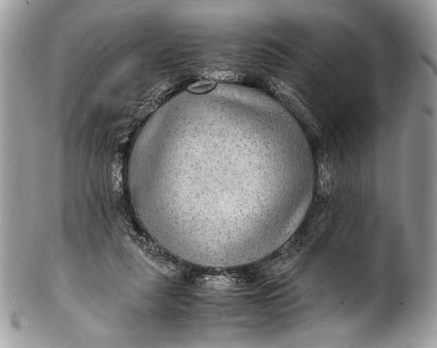 X0000100860259200807070940