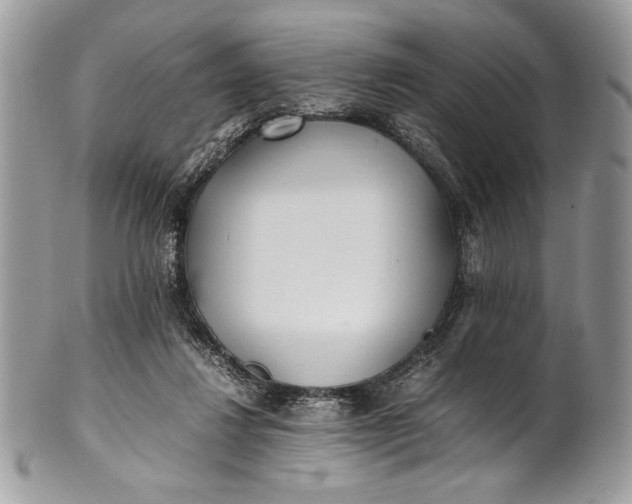 X0000100860260200807070941