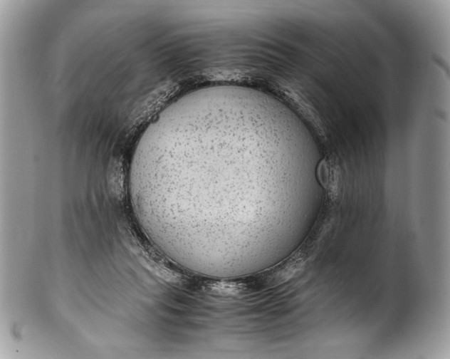 X0000100860261200807070941