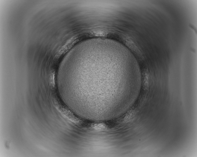 X0000100860262200807070941