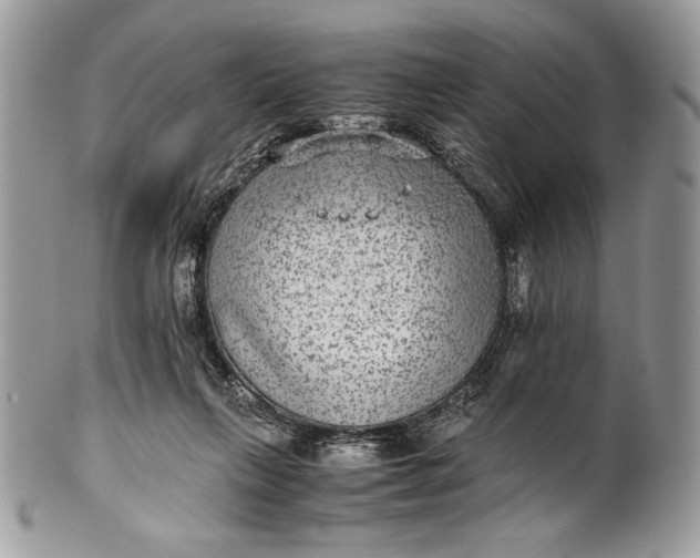 X0000100860263200807070941