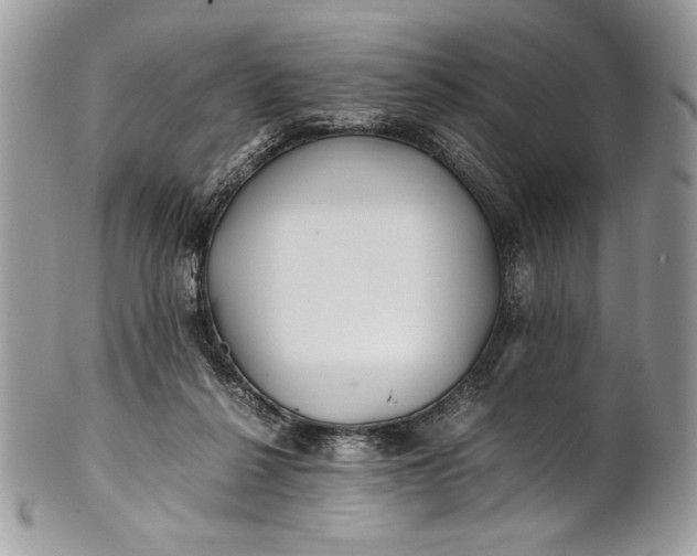 X0000100860264200807070941