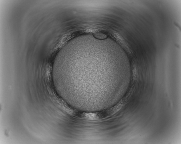 X0000100860265200807070941