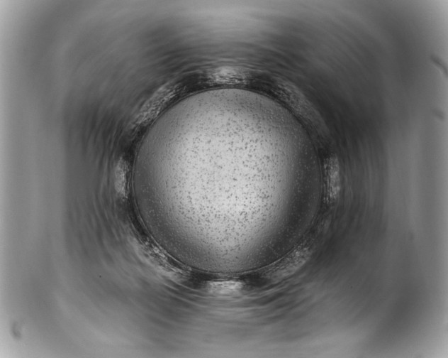 X0000100860266200807070941