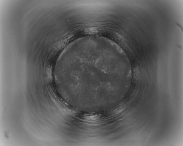 X0000100860267200807070941