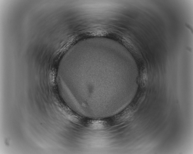 X0000100860268200807070941