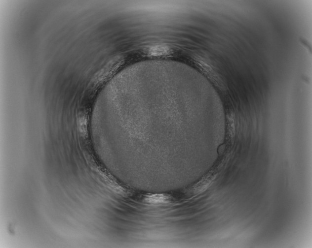 X0000100860269200807070941