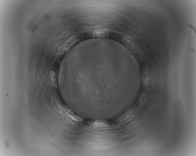 X0000100860270200807070941