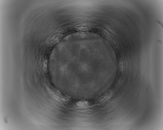 X0000100860271200807070941